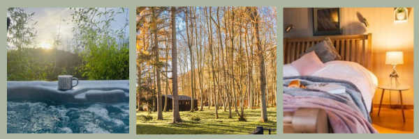 Riverside Cabins Menopause retreat intro.png