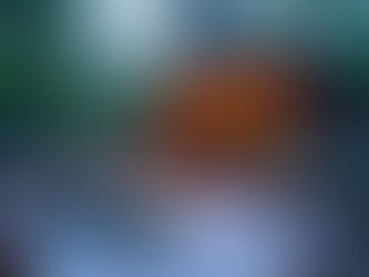 Transform Your Deck and Patio for Year-Round Outdoor Living