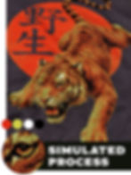 simulated process printing - high detail multi color screen prints