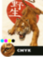 cmyk screen printing example - detailed photo realistic print