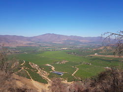 Agrícola Santa Teresa Mallarauco