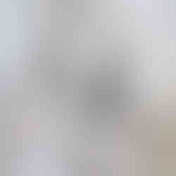 Tulle bridal gown with soft pink and white floral embroidery