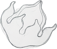 12.png