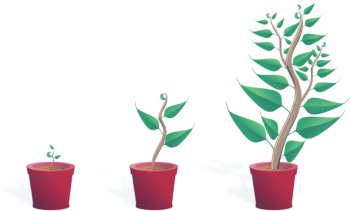 plant%20qui%20grandit_edited.png