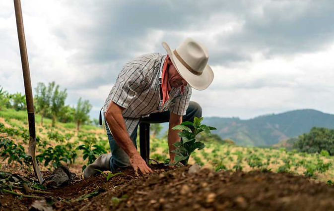 campesino.jpeg