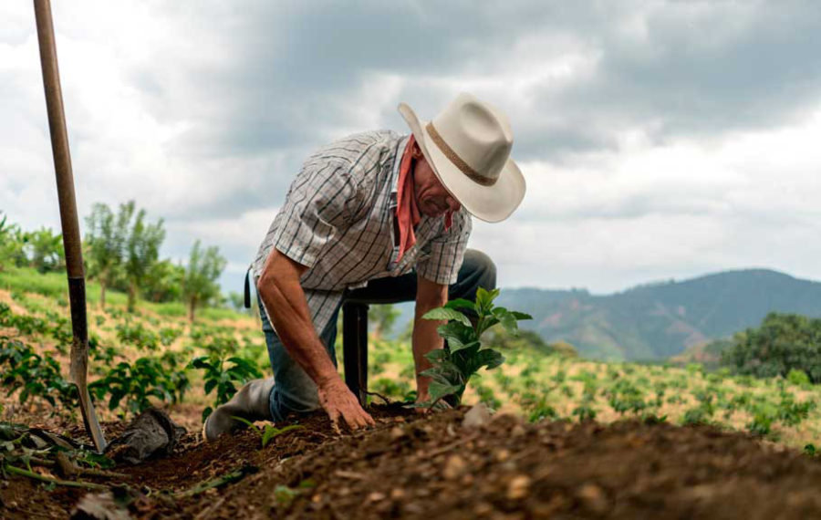 campesino.jpeg