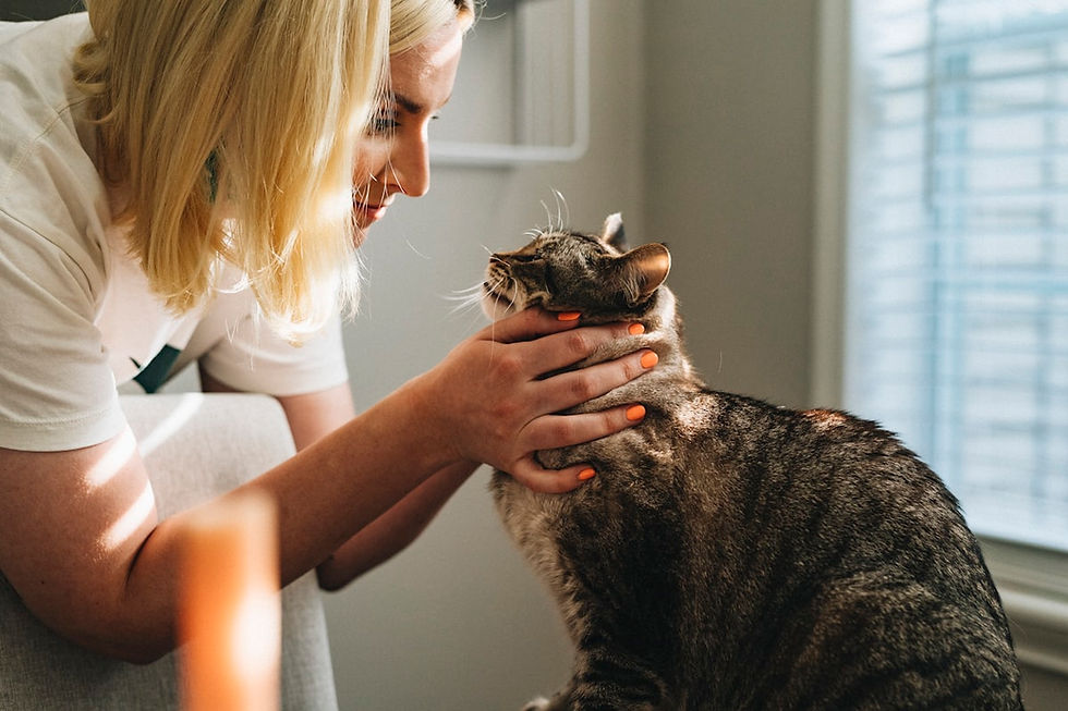 What to Actually Tell Your Vet (Most People Skip Half of It)