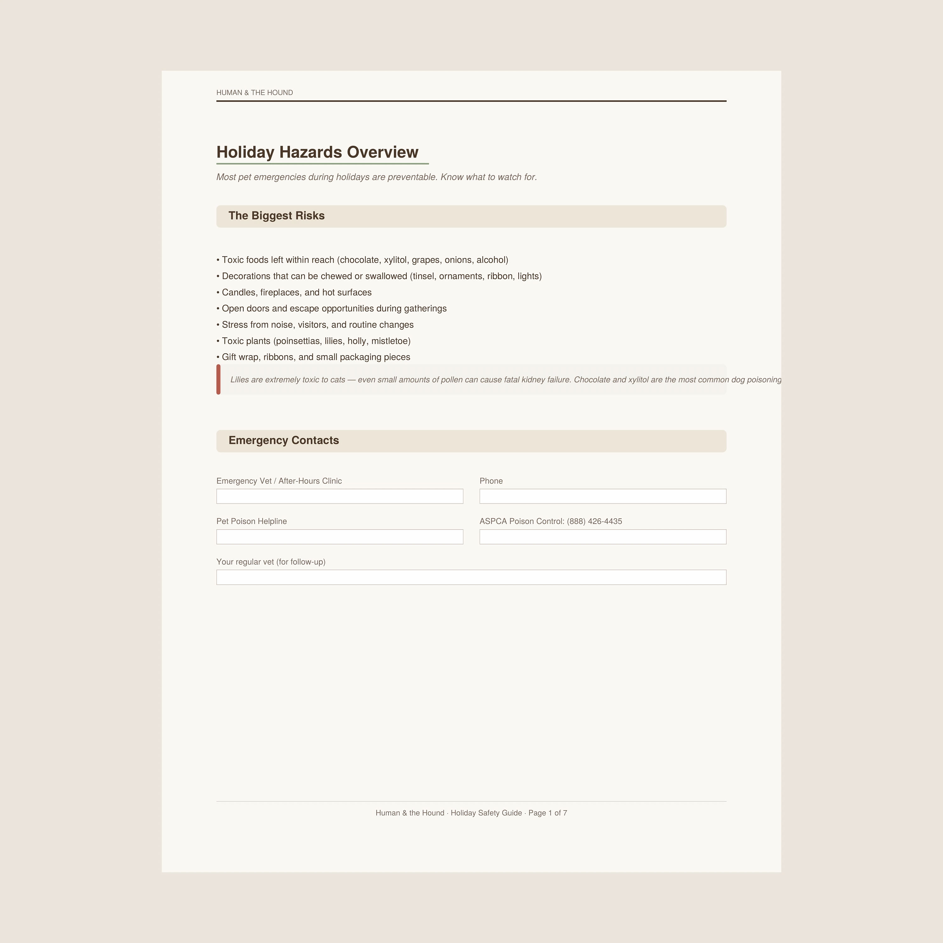 Holiday Safety Guide