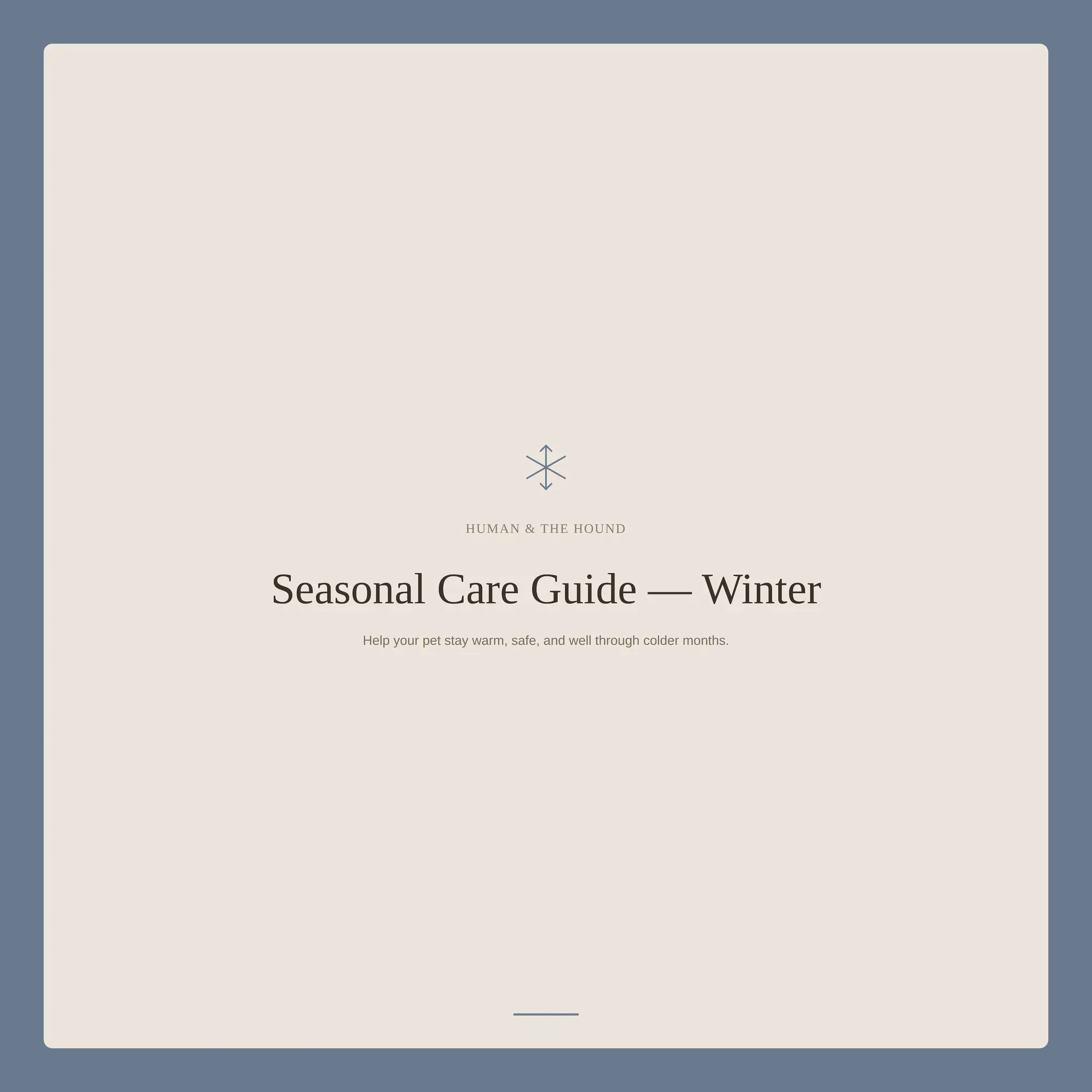 Seasonal Care Guide - Winter