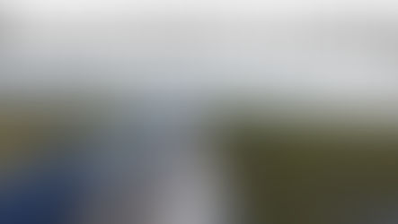 Money Earmarked for Everglades Restoration Sets One-Year Record