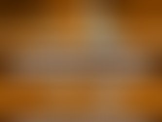 7 De Nuestras Aves Zancudas Favoritas