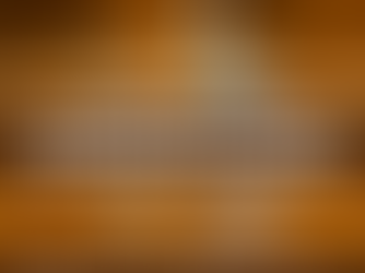 7 De Nuestras Aves Zancudas Favoritas