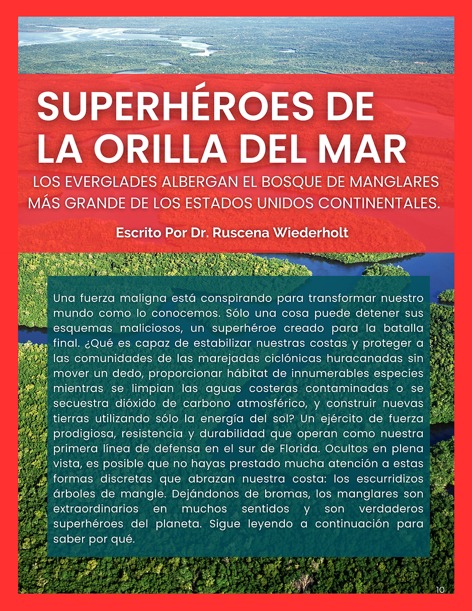 Superhéroes de la Orilla del Mar