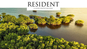 Explore America's Everglades