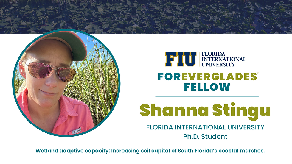 Shanna Stingu Ph D Student