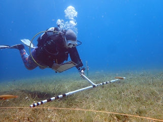 2023 ForEverglades Fellows Announced