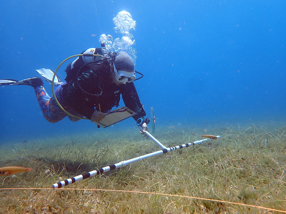 ForEverglades Research Enhancement Grants