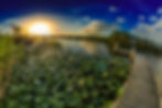 A sunset at the everglades