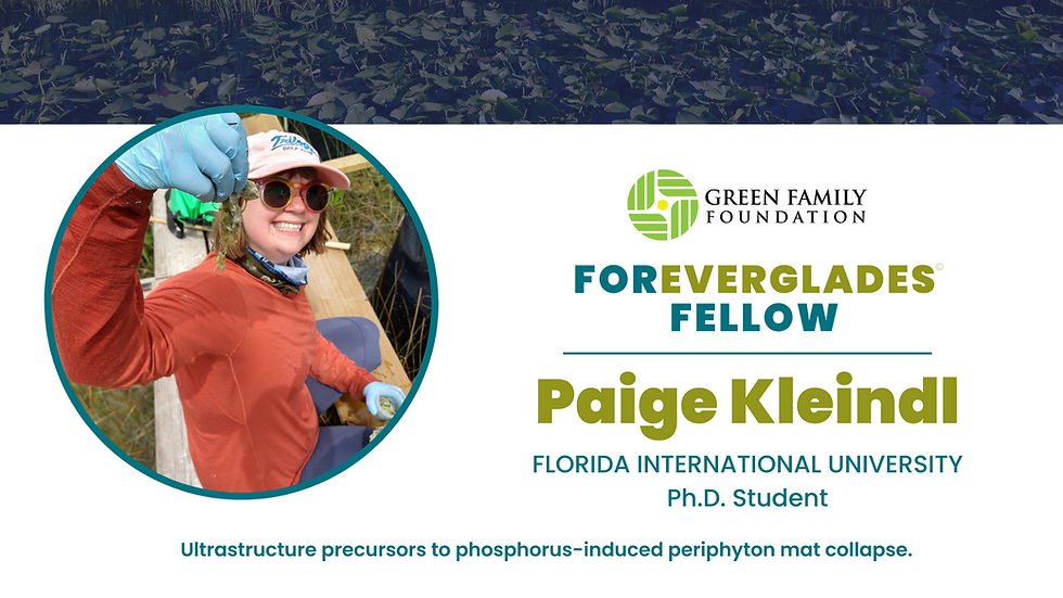 Paige Kleindl Ph D Student