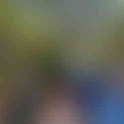 The Everglades Foundation’s 5th Annual Everglades Teacher Symposium