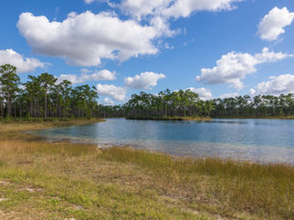 Record Federal Funding for Everglades Restoration