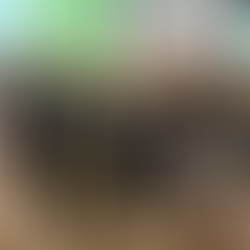 The Everglades Foundation’s 5th Annual Everglades Teacher Symposium