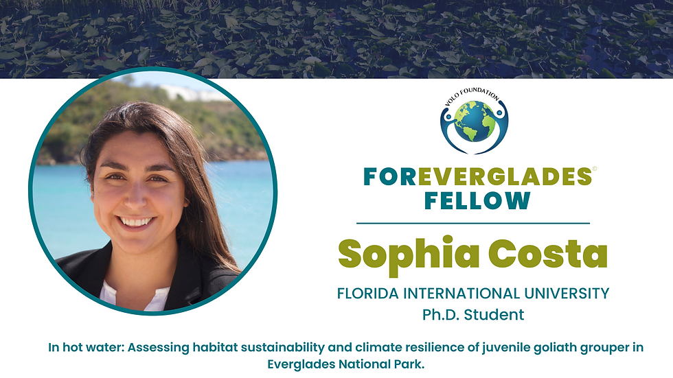 Sophia Costa Ph D Student
