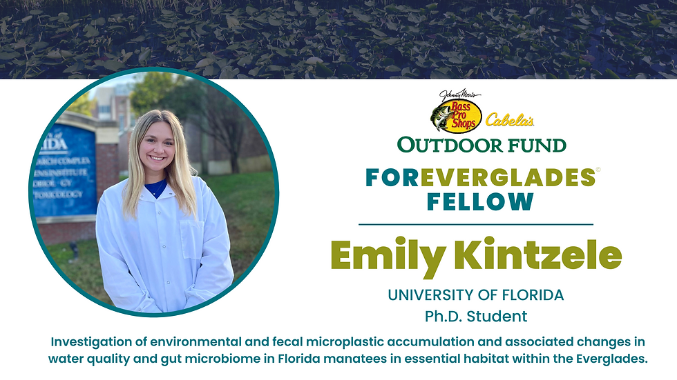 Emily Kintzele Ph D Student