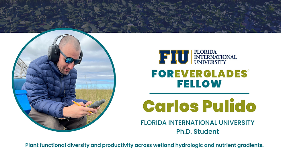Carlos Pulido Ph D Student