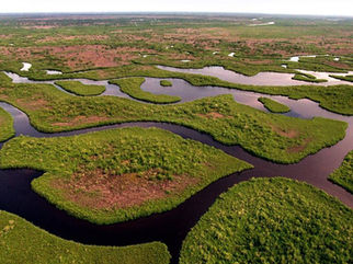 Everglades cuentan con más recursos para su restauración y una iniciativa sobre la vida en la zona