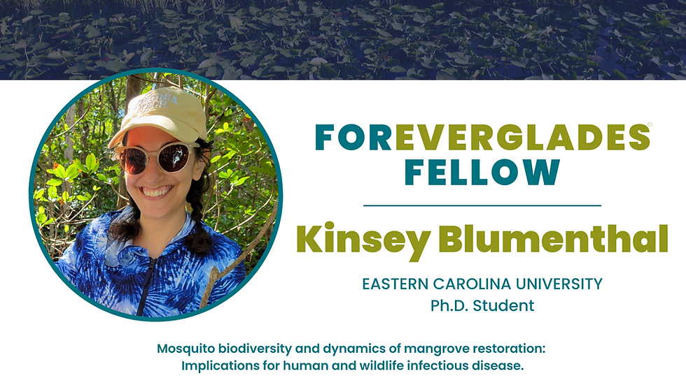 Kinsey Blumenthal Ph D Student