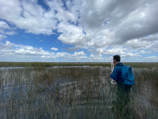 2022 ForEverglades Scholars & Fellows Announced