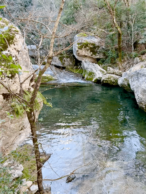 IMG_0680.gif