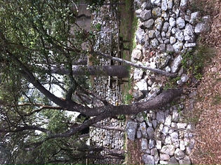 photo+7+%282%29_edited.jpg