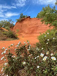 IMG_4180.jpeg