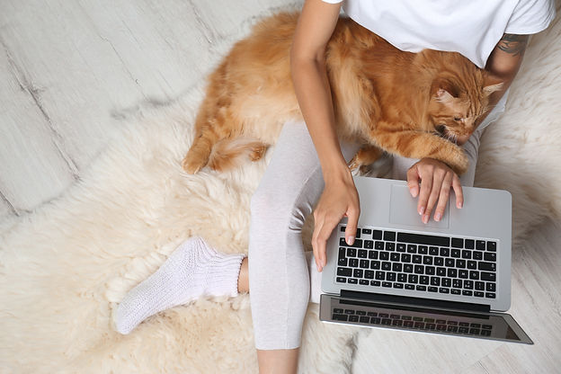 Submit your story to Pet Life