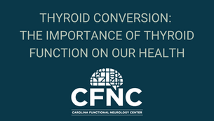 Thyroid Conversion: The Importance of Thyroid Function on our Health