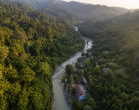 Bukit Lawang Drone