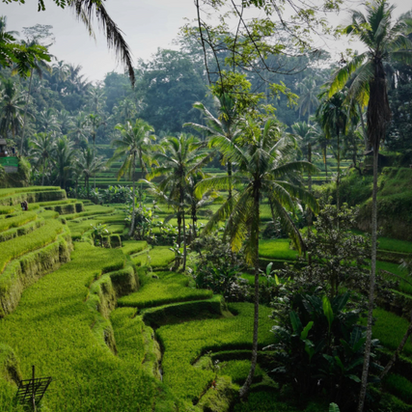 Alles, was ihr über das Reisen nach Indonesien wissen müsst