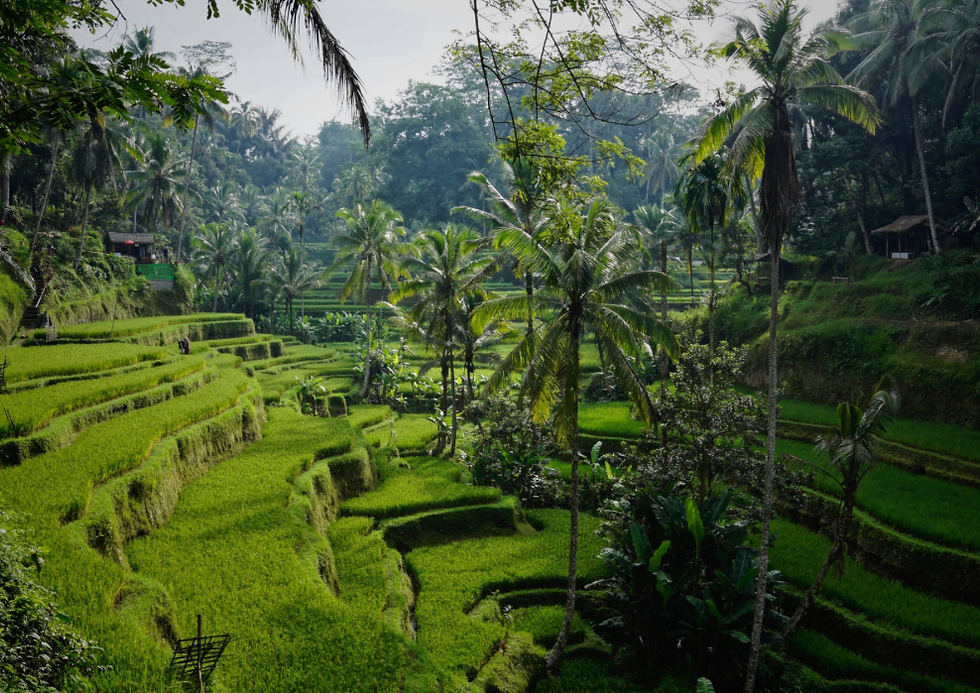 Alles, was ihr über das Reisen nach Indonesien wissen müsst