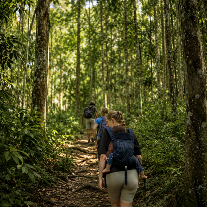 Buchung & Bezahlung bei KANOPI Treks