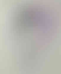 Color Traditional Sketch