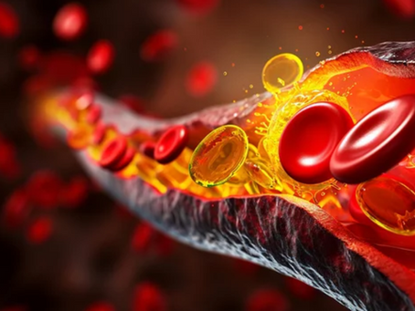 Cholesterol and Heart Health: The Hidden Benefits of the Apolipoprotein B Test