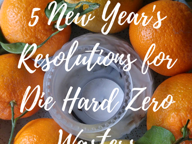 5 New Year's Resolutions for Die Hard Zero Wasters