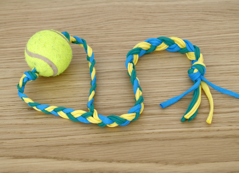 Dog Toys