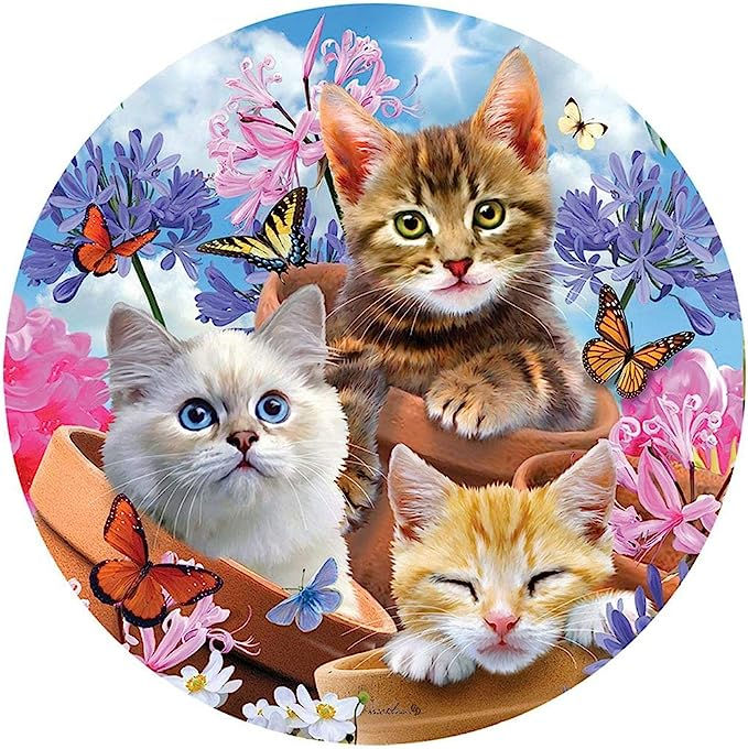 Kittens & Flowers