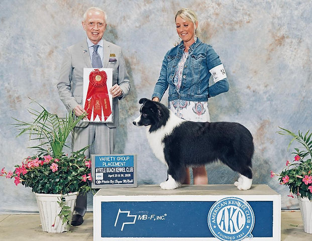 Lainey Herding Group 2nd w Judge Edited.jpg