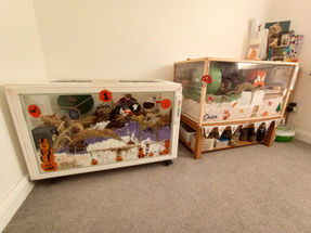 A room with 2 large hamster cages.