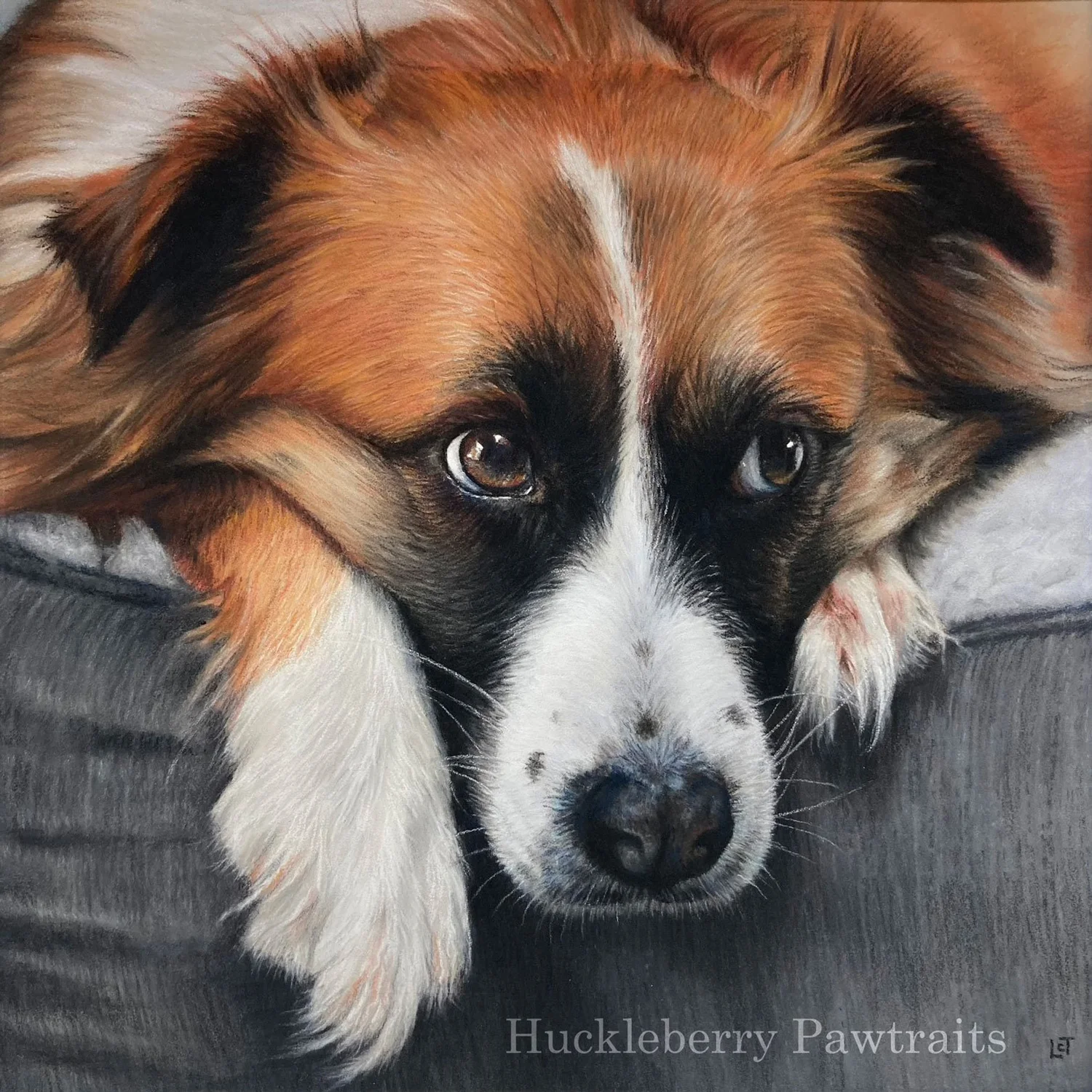 Realistic portrait of a dog's face and front paws