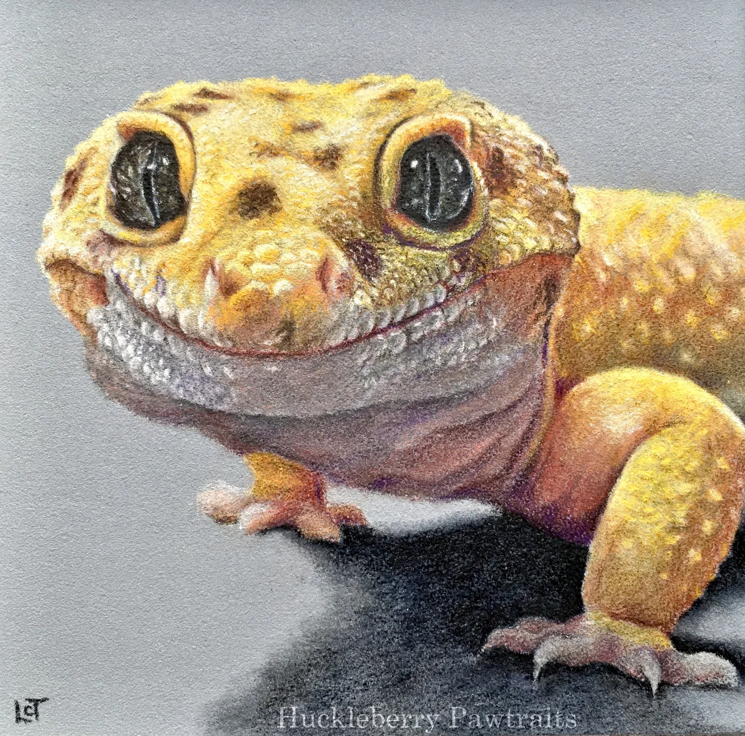 Realistic portrait drawing of a gecko's face and front legs 
